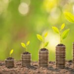 Financial Expert to Increase Your Wealth