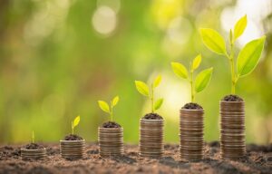 Financial Expert to Increase Your Wealth